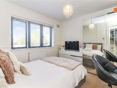 Picture 13